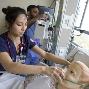 SFSU / IY1 / Health and Social Sciences