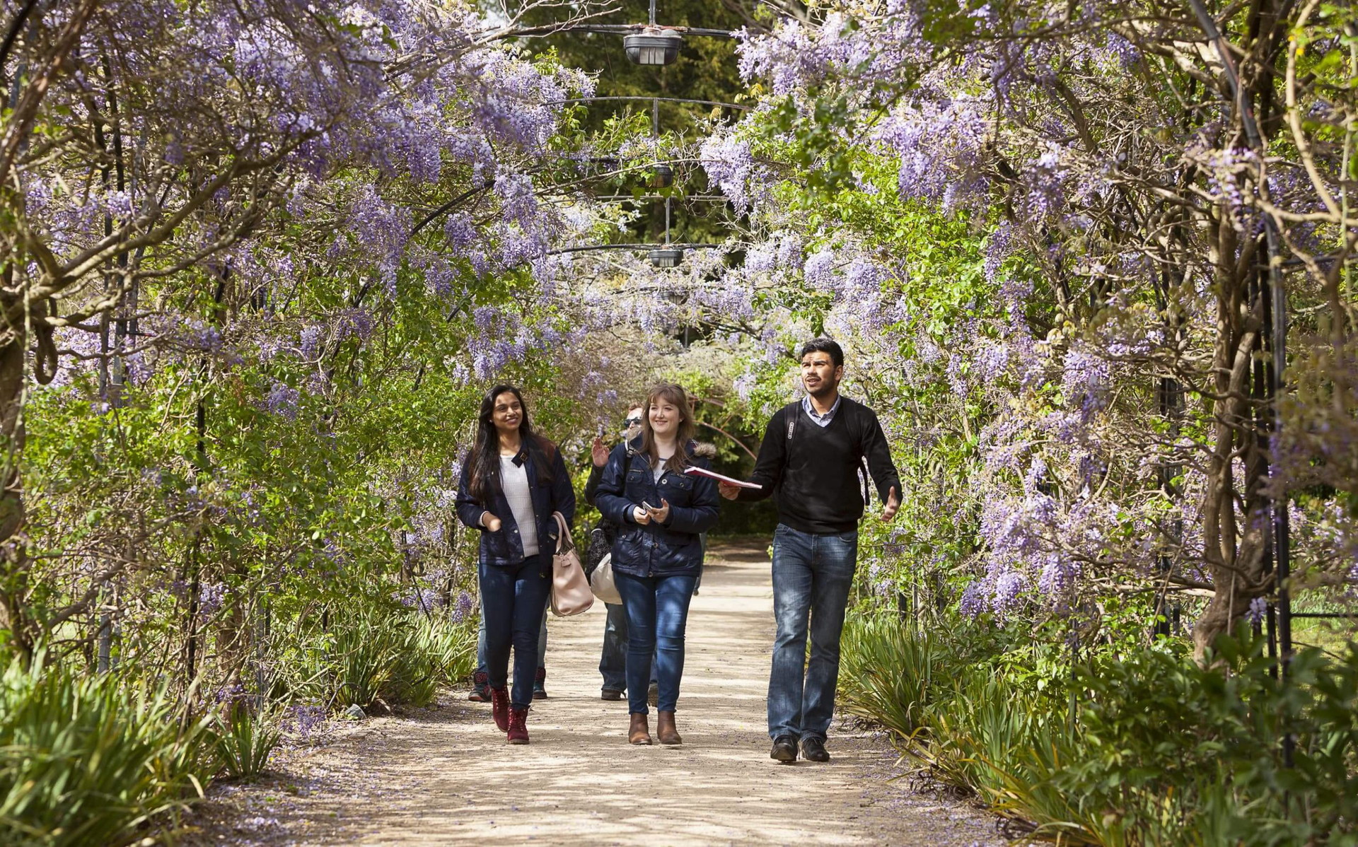 3 Roehampton students walking in Wisteria